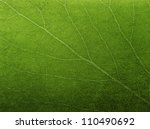 Abstract Green Leaf Texture For ...
