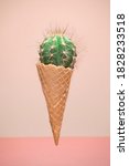 Small photo of carefully deceit pricked cactus ice cream
