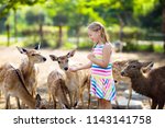 Child feeding wild deer at petting zoo. Kids feed animals at outdoor safari park. Little girl watching reindeer on a farm. Kid and pet animal. Family summer trip to zoological garden. Herd of deers.