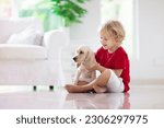 Small photo of Child playing with baby dog. Kids play with puppy. Little boy and American cocker spaniel at couch at home. Children and pets at home. Kid sitting on the floor with pet. Animal care.