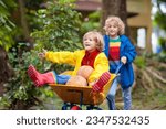 Small photo of Kids in wheelbarrow on pumpkin patch. Autumn outdoor fun for children in Thanksgiving and Halloween season. Boy pushing wheel barrow on farm field. Child playing in fall garden. Kid picking squash.