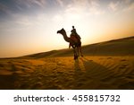 Silhouette Of Camel In The Thar ...