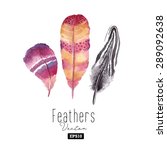 watercolor feather set. hand... | Shutterstock .eps vector #289092638