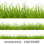 Green Grass Isolated On White...
