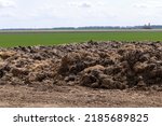 Small photo of piles of humus manure on the field to fertilize the field territory, natural fertilizer manure to obtain a better harvest