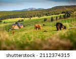 Green Pastures In Krkonose  The ...
