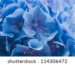 Flowers In A Bouquet  Blue...