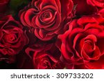 Bouquet of fresh roses, flower bright background.