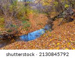 Stream In Autumn Forest . Brook ...