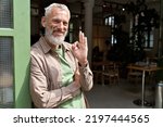 Small photo of Happy older middle aged man small local business owner showing ok hand sign standing outside cafe or bar giving recommendation or feedback, suggesting good quality welcoming clients. Portrait