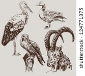 digital drawing of stork ... | Shutterstock . vector #124771375