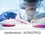 Small photo of Scientist working in the corona virus vaccine development laboratory research with a highest degree of protection gear. Coronavirus pandemic concept. Development of virus treatment drug.