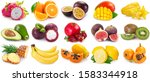 collection of fresh fruits... | Shutterstock . vector #1583344918