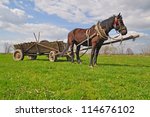 Horse With A Cart