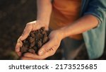 Small photo of soil in the hands of the farmer. agriculture. close-up a of farmers hands holding black soil in their hands, fertile land. sun garden field ground fertile concept. worker holding soil plowed field