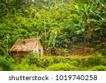 Small Wooden Bamboo Hut In The...