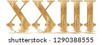 roman numeral xxiii  tres et... | Shutterstock . vector #1290388555