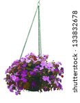 Hanging Basket Of Flowers...