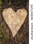 Heart Shaped Carving On A Tree...