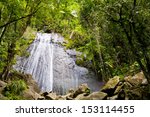 Waterfall In The Rainforest