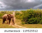 Small photo of Elephant plod, plod, plodding along