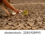 Small photo of Man watering green tree after planting on dry land metaphor climate change solution, Sustainability and Save the world.