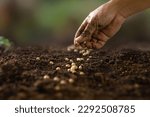 Small photo of Dirty hand of farmer sowing seed on prepared soil at vegetable bed backyard. agriculture and plant care concept.