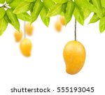 Mango Fruit With Leaf Isolated...