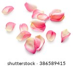 Rose Petals Isolated On White...