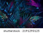 Modern layout installed with tropical colorful plants forest glow in the dark background. Stylized as futuristic art.