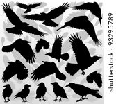Crow And Feathers Silhouettes...
