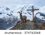 Mountain Goat The Symbol Of...