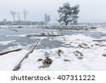 Winter Landscape Of A Moor With ...