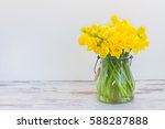 Posy Of Bright Yellow Daffodils ...