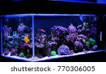 Coral Reef Saltwater Aquarium...