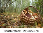 Mushrooms In The Basket