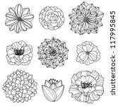 vector collection of hand drawn ... | Shutterstock .eps vector #117995845