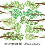 vector collection of leafy tree ... | Shutterstock .eps vector #243823192