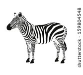 zebra vector | Shutterstock .eps vector #159804548
