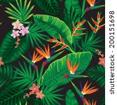 seamless tropical jungle floral ... | Shutterstock .eps vector #200151698