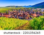 Riquewihr, France. Landscape with vineyards near the historic village. The Alsace Wine Route.