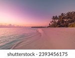 Island palm trees sea sand beach. Amazing beachside landscape. Inspire tropical coast seascape horizon. Colorful sunset light sky calm tranquil relax summer mood. Vacation travel romantic holiday