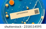 Small photo of Leptospirosis - Bacterial infection transmitted through contact with contaminated water or soil.