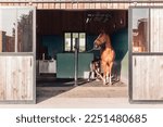 Small photo of female horse caretaker grooming horse in stable using a brush to clean the horse's coat and legs - attention and tenderness of caretaker for horse -showcasing concept of horse care, animal welfare