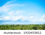 Green treetops and beautiful cloudy blue sky. Forest landscape view from above to sky panorama. 