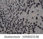 Small photo of organic structure, front view, random stains and dirt