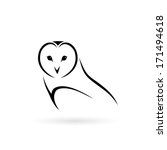 Barn Owl   Vector Illustration