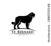 St Bernard Dog   Isolated...
