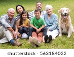 Small photo of Portrait of cheerful extended family sitting in the park