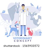 veterinary concept with... | Shutterstock .eps vector #1565933572
